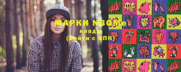 не бодяженный Новодвинск