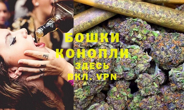 не бодяженный Новодвинск