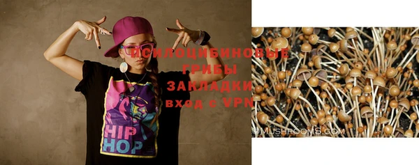 ALPHA-PVP Нязепетровск