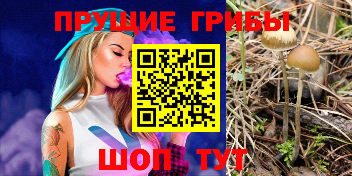Галлюциногенные грибы прущие грибы  Вход с VPN  закладки  Татарск 
